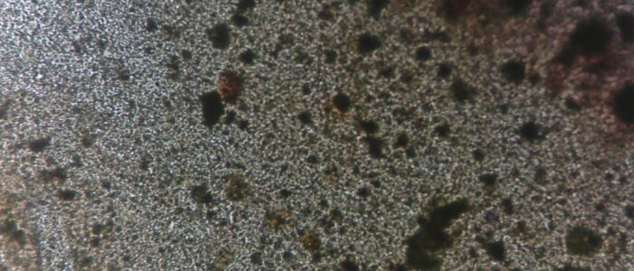 WIN_20250811_01_09_19_Pro