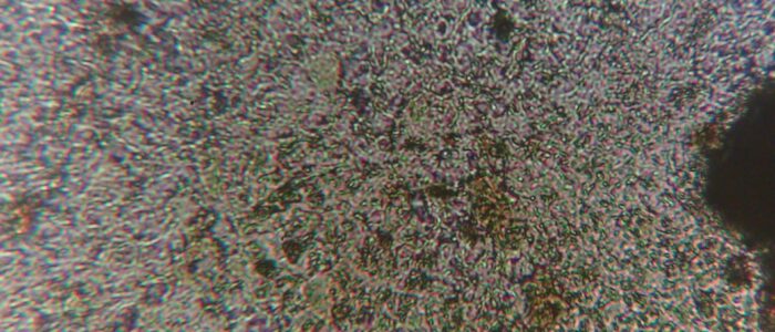 WIN_20250811_01_19_07_Pro