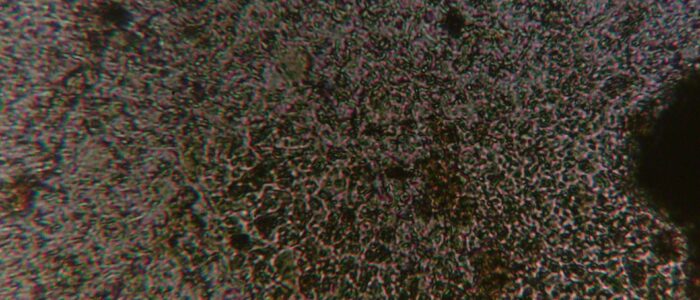 WIN_20250811_01_20_06_Pro